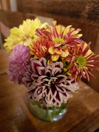 Close-up of dahlia flowers
