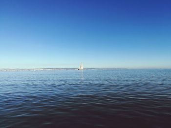 Sailboat sailing in sea against clear blue sky