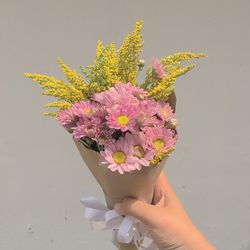 Close-up of hand holding pink flower