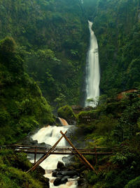 Scenic view of waterfall in forest