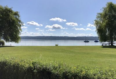 Scenic view of grassy field against sky