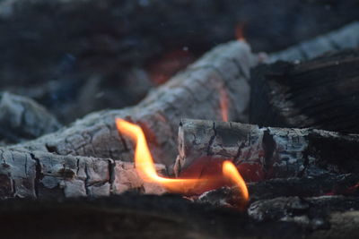 Close-up of burning fire