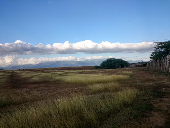 Scenic view of field against sky