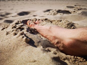 Low section of person on sand at beach