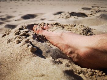 Low section of person on sand at beach