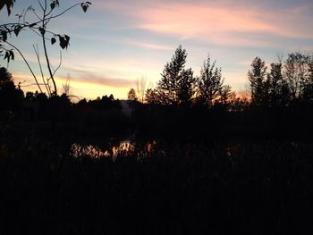 Silhouette of trees on landscape at sunset