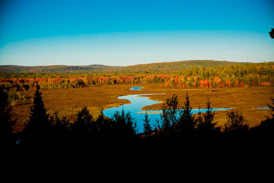 Scenic view of landscape against clear blue sky