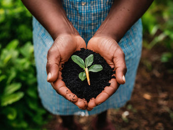 Midsection of woman holding plant