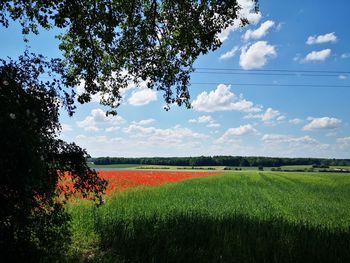 Scenic view of field against sky