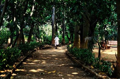 Rear view of a man walking on tree