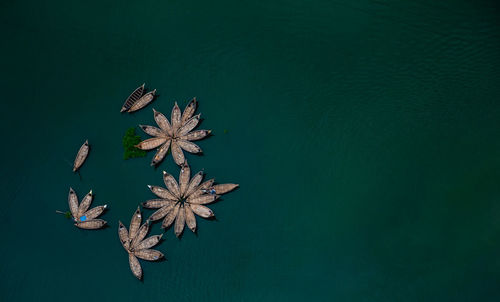Directly above shot of rowboats moored lake
