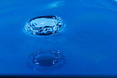 Close-up of water drop