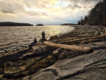 Rocks and logs on the seashore at twilight