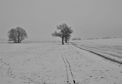 Trees on snow covered field against sky