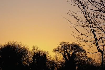 Silhouette trees against sky during sunset