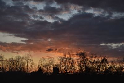 Silhouette trees against dramatic sky during sunset