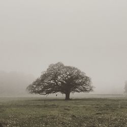 Scenic view of field in foggy weather