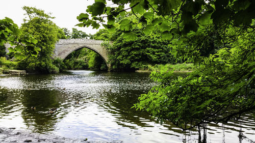 Bridge over river