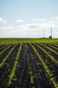 Scenic view of agricultural field against sky