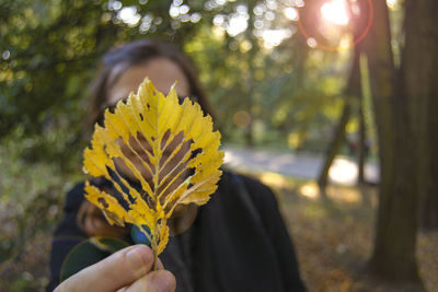 Midsection of person holding yellow flowering plant