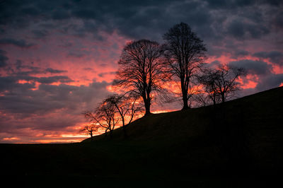 Silhouette trees on landscape against sky during sunset