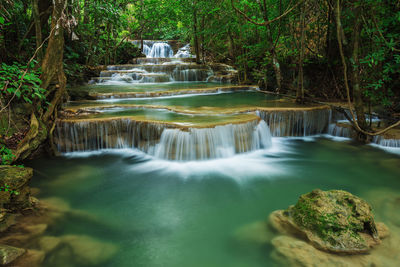 Scenic view of waterfall in forest