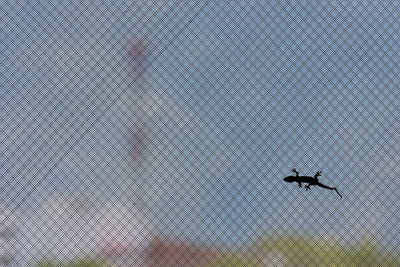 Low angle view of airplane flying against sky