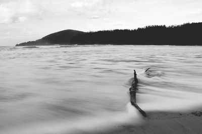 Scenic view of swimming in sea against sky