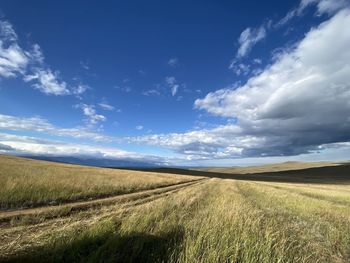 Scenic view of field against sky