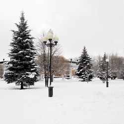 Snow covered landscape