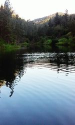 Scenic view of lake in forest against clear sky