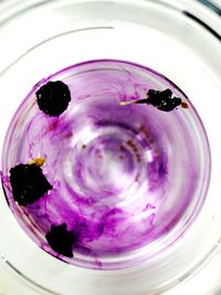 Close-up of purple water