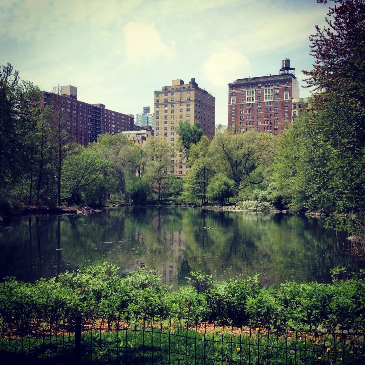 Central Park West