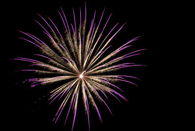 Low angle view of firework display at night