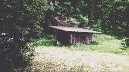 View of house in forest