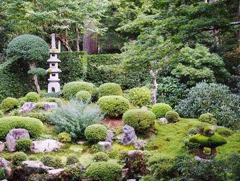 View of statue in garden