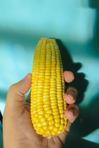 Cropped hand holding corn on the cob