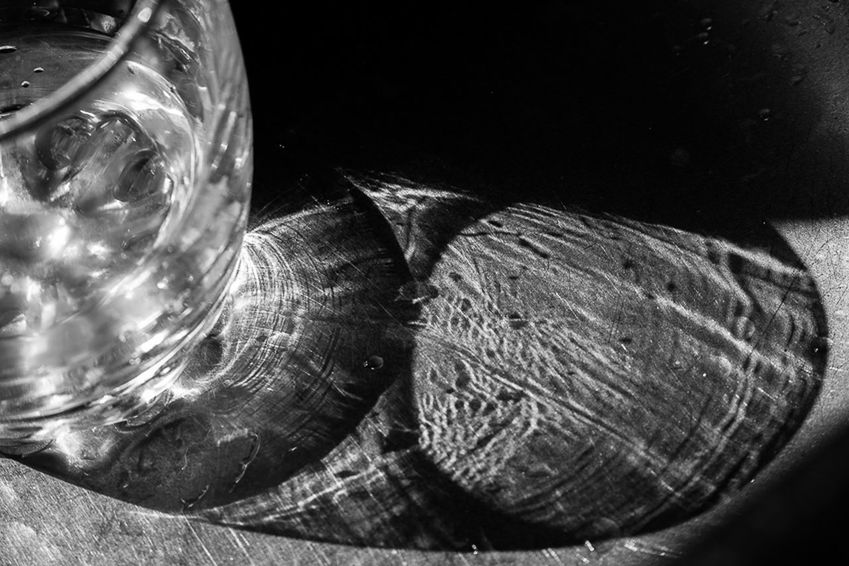close-up, no people, animal, indoors, shell, transparent, animal themes, nature, water, animal wildlife, still life, animal shell, turtle, table, animals in the wild, glass - material, vertebrate, reptile, wood - material, marine