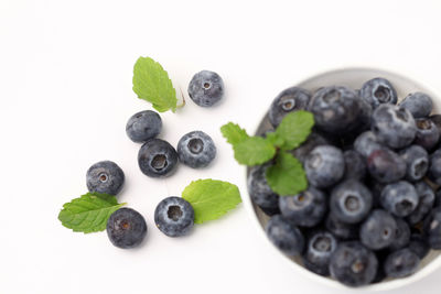 High angle view of fruits in plate against white background