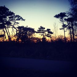 Silhouette of trees on landscape at sunset