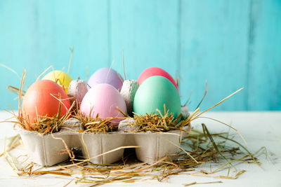 Close-up of eggs in nest