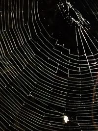 Close-up of spider web against sky