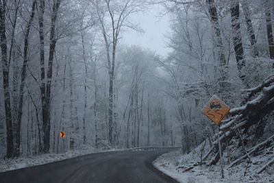 Road amidst trees during winter