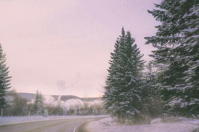 Road amidst trees against clear sky during winter