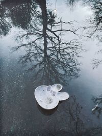 Small toy in the shape of a bunny drifting in a pool of water in amsterdam