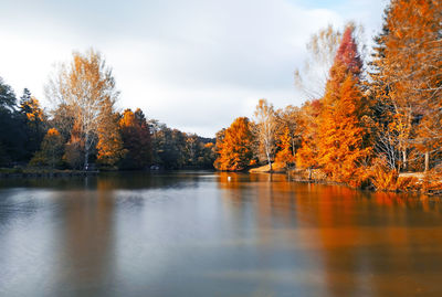 Scenic view of lake by trees during autumn