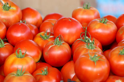 Close-up of tomatoes for sale at market stall