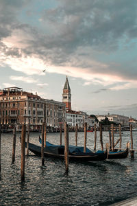 Venice beauty at sunset from santa maria della salute