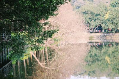 Scenic view of lake by trees against sky