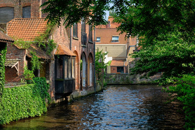 House by canal amidst trees in city